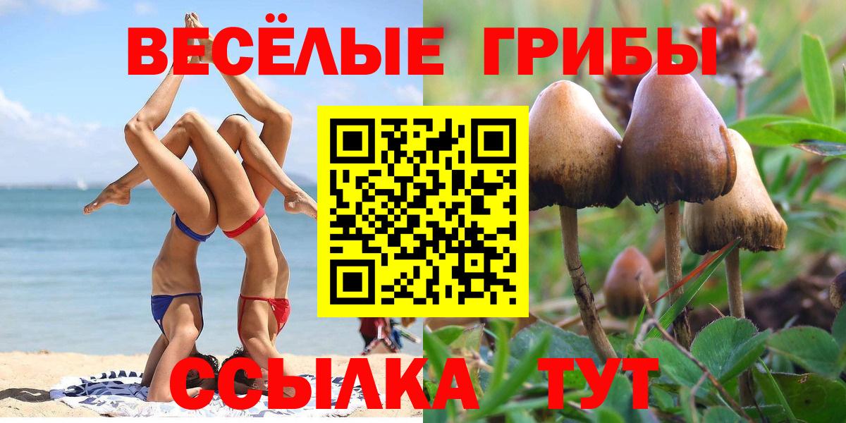 Новочеркасск  Галлюциногенные грибы мицелий  Вход с VPN 